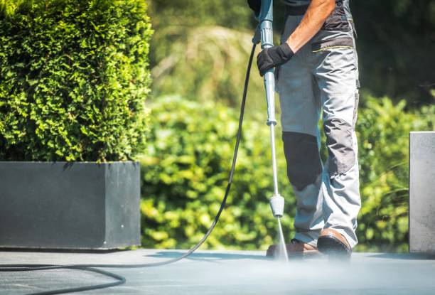 Boat and Dock Cleaning in Algonquin, MD
